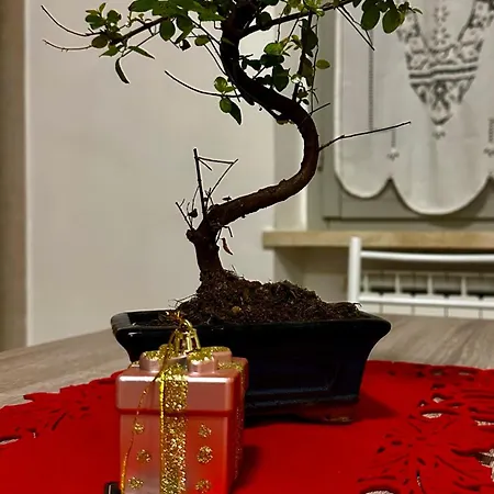 Giuliani Via Rasiglia Casenove